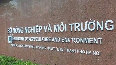 Ministry of Agriculture and Environment: Continuing to reorganize the structure and streamline the number of departments.
