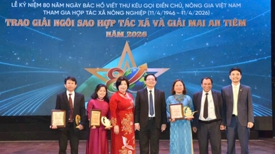 Gia Lai สร้างชื่อเสียงในงานประกาศรางวัล Cooperative Star และ Mai An Tiêm Awards
