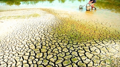 ຄວາມສ່ຽງຂອງການຊຶມເຂົ້າຂອງນ້ຳເຄັມແມ່ນສູງໃນເຂດສາມຫຼ່ຽມປາກແມ່ນ້ຳຂອງໃນເດືອນມີນາ.