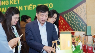 ໂຄງການ APFP ຊ່ວຍຊຸກຍູ້ສະຫະກອນ.