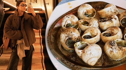 Was macht Escargot, ein französisches Schneckengericht, das das Herz von Tang Thanh Ha erobert hat, so besonders?