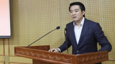 Ernennung eines Assistenten des Premierministers und Genehmigung des Wahlergebnisses für den stellvertretenden Vorsitzenden des Volkskomitees von Hanoi.