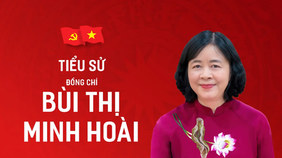 ຊີວະປະຫວັດຫຍໍ້ຂອງ ສະຫາຍ ບຸ່ຍທິມິນຮ່ວາ