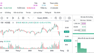 ارتفعت أسهم شركة PC1 إلى أعلى سعر لها خلال فترة انكماش السوق.