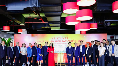 A DatVietVAC e o Saigontourist Group unem forças para promover a "indústria cultural".