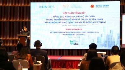 Vietnam Karbon Borsası'nı işletmek için menkul kıymetler altyapısından yararlanmak.