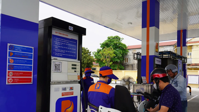 E10 پٹرول - Petrolimex Ha Tinh کے ساتھ پائیدار مستقبل کے لیے ایک سبز انتخاب