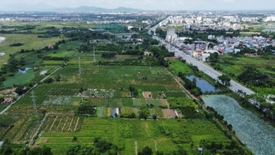 ฐานข้อมูลที่ดิน: 'กุญแจ' สู่การบริหารจัดการและการทำธุรกรรมที่โปร่งใส