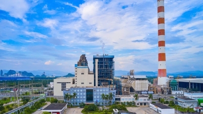 하이퐁 화력 발전소: 전력 공급 문제 해결 및 환경 보호에 기여.