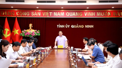 Quảng Ninh cương quyết thu hồi những dự án chủ đầu tư cố tình chậm tiến độ