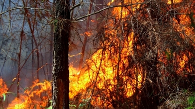 April membawa cahaya matahari kemuncak, dengan amaran kebakaran hutan Tahap V yang meluas.
