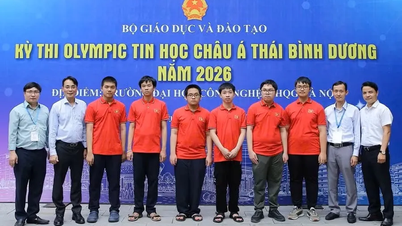 Le Vietnam s'est classé deuxième à l'Olympiade d'informatique Asie-Pacifique 2026.
