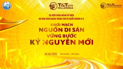 What's so special about T&T City Millennia, the venue for the biggest music festival in southern Saigon?