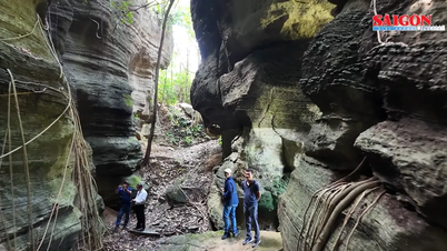 Le système unique de grottes aux chauves-souris dans la région centrale de la province de Quang Nam.