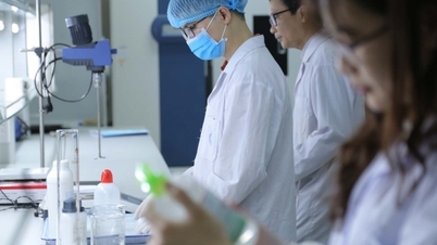 L'Università Nazionale di Hanoi e la sua missione di diventare la "banca dei cervelli" della nazione.
