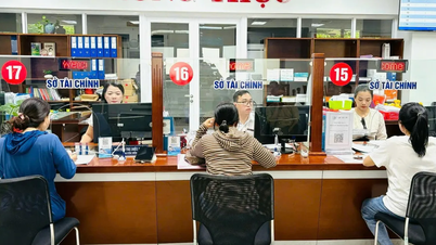 Da Nang, engelli öğrencilere eğitim veren öğretmenlere yapılan ödemelerin gözden geçirilmesini ve çözüme kavuşturulmasını talep ediyor.