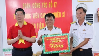 Gia Lai sends heartfelt sentiments from the mainland to Truong Sa and the DK1 platform.