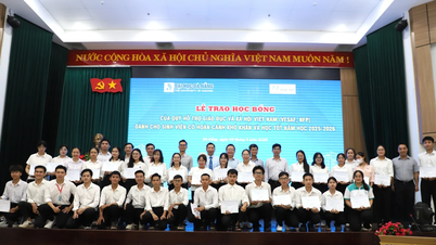 មូលនិធិ​អប់រំ និង​ជំនួយ​សង្គម​វៀតណាម​ផ្តល់​អាហារូបករណ៍​ដល់​និស្សិត​នៃ​សាកលវិទ្យាល័យ​ដាណាំង។