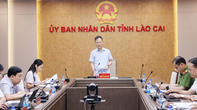 Lao Cai, arazi veri tabanının tamamlanmasını hızlandırıyor.