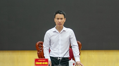 Bắc Ninh: Quyết liệt đôn đốc hoàn thành mục tiêu làm sạch dữ liệu đất đai trong năm 2026