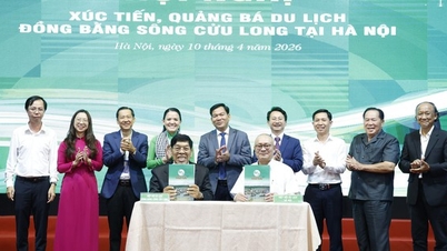 Mekong Deltası'nda turizmin tanıtımını ve gelişimini desteklemek.