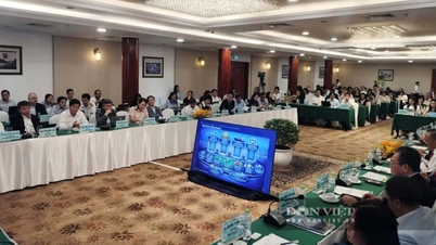 ২০২৬ সালে ৫.১৭ ট্রিলিয়ন VND-এর চাপ বেসরকারি খাতের ওপর মারাত্মক প্রভাব ফেলছে।