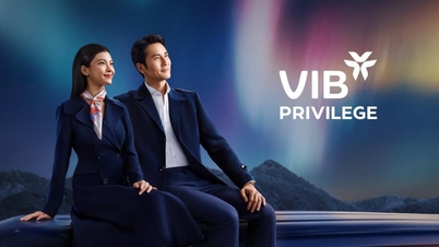 Experience the Aurora Borealis with VIB Privilege Banking: A journey for those who master the times.