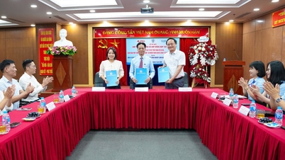 Hợp tác triển khai dự án cụm công nghiệp làng nghề quy mô lớn tại Hà Nội