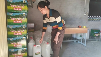 Ao venderem produtos da OCOP online, os agricultores de uma comuna montanhosa na província de Bac Ninh estão buscando proativamente escapar da pobreza.