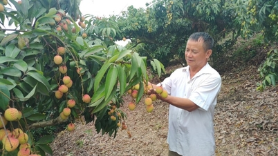 „E-Commerce-Dörfer“ helfen Bauern in Bac Ninh, ihr Einkommen zu steigern und die Armut nachhaltig zu reduzieren.