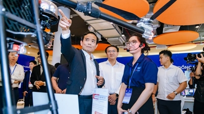 Nhảy vọt 12 bậc, TPHCM lần đầu tiên vào top 100 hệ sinh thái khởi nghiệp sáng tạo năng động toàn cầu