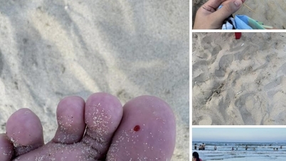 Éles tárgyak és szemét hever a My Khe strandon még a főszezonban is.