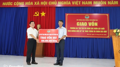 The Dong Nai City Farmers' Association provides capital to farmers in Binh Loc ward.