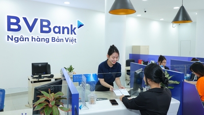 Taxas de juros de depósitos à vista e certificados de depósito online para maio de 2026 no BVBank.