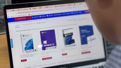Po šoku ze softwarového pirátství si Vietnamci kupují digitální zabezpečení.