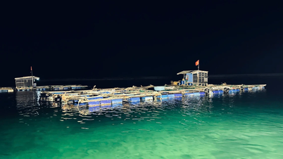 Agribank Ly Son: Sebuah bank di laut untuk nelayan dan petani.