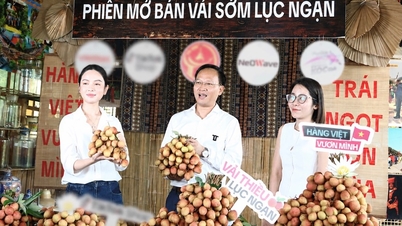 Bac Ninh eyaletinin başkan yardımcısı, canlı yayınla yaptığı görüşmede sadece bir günde 31 ton liçi için "anlaşma imzaladı".
