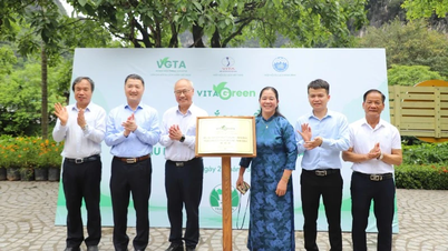 Ninh Binh ha añadido cuatro destinos más a su lista de lugares de turismo verde, elaborada por la Asociación de Turismo de Vietnam.