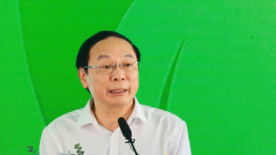 Sẽ có tiêu chí ngăn ngừa tình trạng 'xanh hóa' hình thức