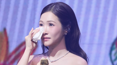 Huong Tram's viral moment