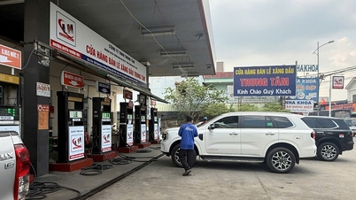 Những loại xe nào cần lưu ý?