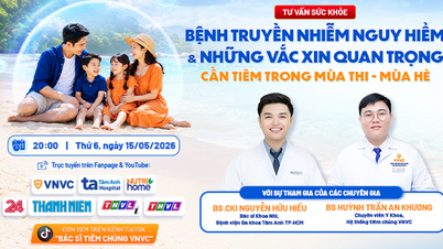 คำแนะนำด้านสุขภาพ: วัคซีนสำคัญที่ควรฉีดในช่วงฤสอบ - ฤดูร้อน