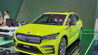 Top 10 mẫu SUV điện tốt nhất năm 2025