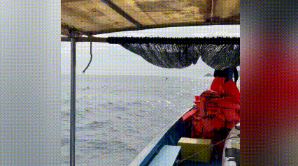 VIDÉO : Une baleine chasse sa proie dans les eaux au large de Gia Lai.