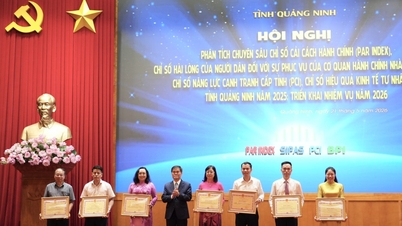 Quảng Ninh: Phân tích chuyên sâu các chỉ số điều hành, triển khai nhiệm vụ năm 2026