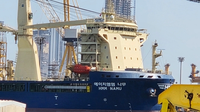 이란이 호르무즈 해협의 모든 핵심권을 쥐고 있는 것일까?