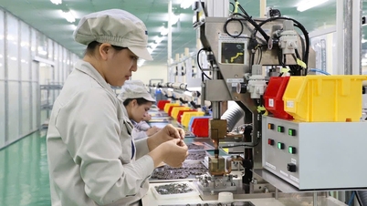 „Revoluția” mediului de afaceri din Vietnam