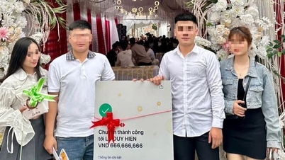 Il cartello che mostra un bonifico bancario di 666 milioni di VND come regalo di nozze per gli sposi, e la verità che si cela dietro la storia.