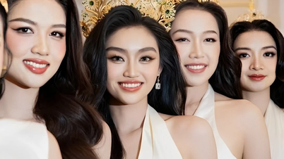 Bác toàn bộ kháng cáo vụ tranh chấp tên gọi Hoa hậu Hòa bình Việt Nam