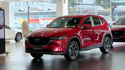 Bagaimanakah harga crossover segmen-C menurun sejak 5 tahun lalu?